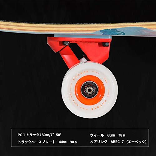 Amazon | PROBEE【ロングスケートボード】虎 ダンシングスタイル