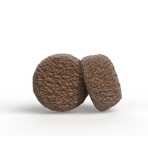 JOSERA Adult Seefisch & Reis (1 x 12, 5 kg) | Premium Trockenfutter für ausgewachsene Hunde | leckerer Lachs & Hering | glutenfrei | reich an Omega- 3- Fettsäuren | moderater Energiegehalt-4