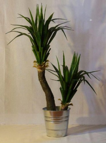 YUCCA DOUBLE 1,20m Cover