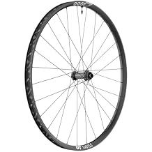 DT Swiss M 1900 Spline 30 Front Wheel - 29in,15x100mm,Center-Lock,Black,2140060110