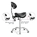 Antlu Saddle Stool Rolling Chair with Back Support,Esthetician Tattoo Dental Stool Chair,Lash Chairs for Eyelash Tech Massage Salon(Black,with Backrest)