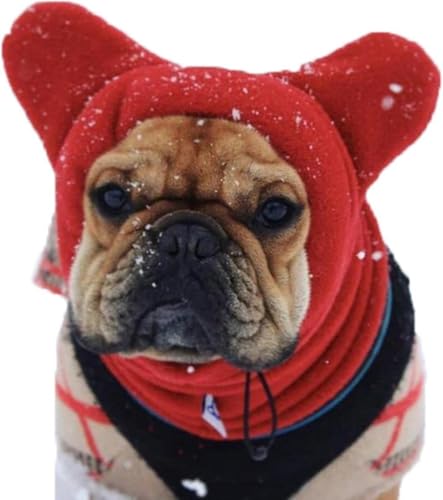 pXq pXq gybgpjbgX ~pgjbgppXq phXq ~phXq ^ t`uhbO ~pybgphXq (bh i?Fj,M)