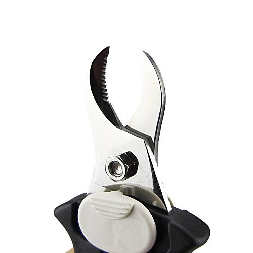 Forbici in acciaio inossidabile da 20 cm