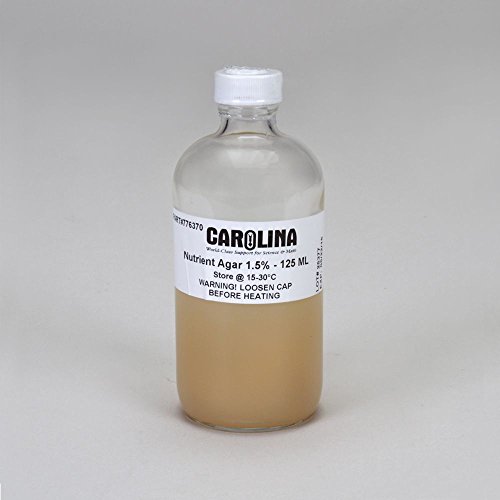 Nutrient Agar, 1.5%, Prepared Media Bottle, 125 mL