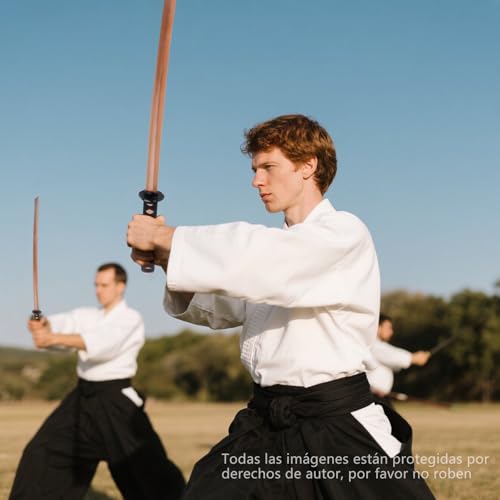 Holz Katana Schwert, Bokken Kendo-Schwertkampf-Training, Samurai Schwert, Rollenspiel Cosplay Iaido-Bokken (Grundfarbe)