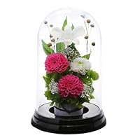 Amazon｜アートフォーシーズン お供え花プリザーブドフラワー (リラ