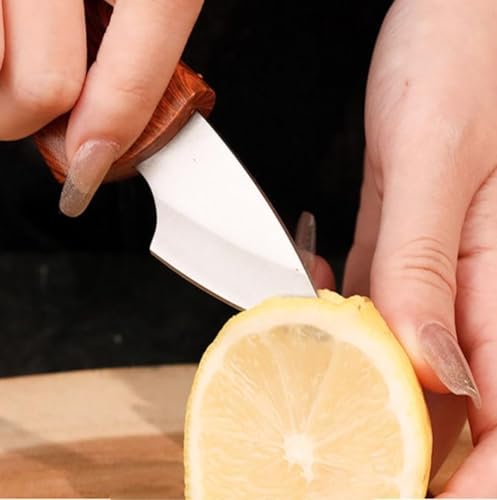 Image of Wizbiz Mini EDC Paring Knife with Wooden Handle & Sheath | Stainless Steel Sharp Blade | Fruit & Vegetable Peeling Knife | Kitchen, Travel Utility Knife