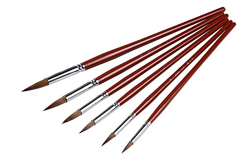 6 pezzi donnola capelli filbert set di colori