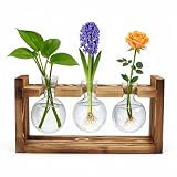 Estación de Propagación para Plantas con Base de Madera y Vasos de Cristal, 3 Jarrones Redondos Cristal, para Esquejes, Cultivo Hidropónico y como Decoración de Interior o Escritorio