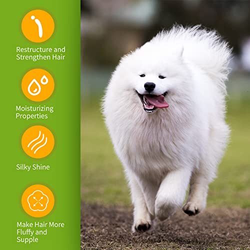 Nobleza Hundeshampoo weißes Fell - Optimale Fellpflege bei hellem & weißen Fell,Hundeshampoo für Weisse Hunde Hund Shampoo Malteser, Havaneser und Bichon 250ml