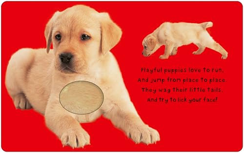 Bright Baby Touch & Feel Boxed Set