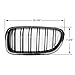XQXSTORE Car Carbon Fiber Style Glossy Double Slats Front Kidney Grille Grill, For BMW 5 Series F10 F11 M5 2010-2016