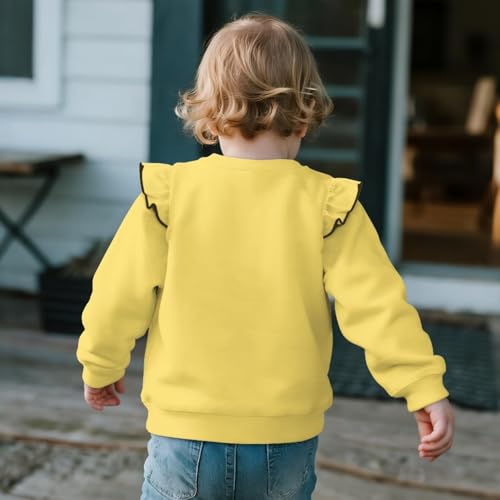 Sweatshirt for Toddler Girls Long Sleeve Sweatshirt for Baby Girl Crewneck T-shirt Blouse Sweatshirts Size 1-84