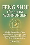 FENG SHUI FÜR KLEINE WOHNUNGEN: Wie Sie Ihren kleinen Raum harmonisieren können, um gute Energie anzuziehen, OHNE größere Renovierungsarbeiten! (Einrichten Feng Shui, Band 1) - DR ONIX, DR ONIX 