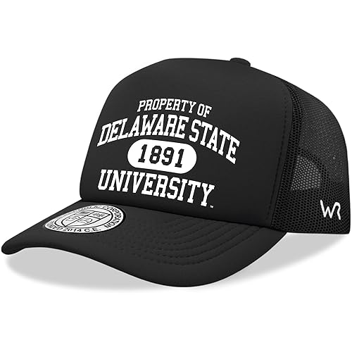 Delaware State University Hornet DESU NCAA Trucker Mesh Snapback Cap Hat Black
