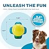 Outward Hound Tennis Maze Craze Interactive Squeaky Dog Toy, Blue #2