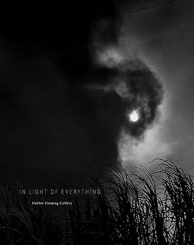 Debbie Fleming Caffery: In Light of Everything