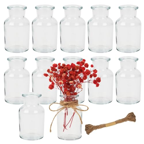 12 Stück Kleine Vasen,60ml Vasen Klein Tischdeko mit 10M...