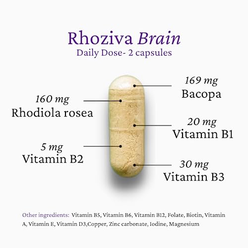 Rhoziva Brain Supplement. Memory, Focus, Cognitive Health, Concentration Support & Natural Stress Relief. Bacopa Monnieri, Rhodiola Rosea, Biotin. Nootropic Brain Supplement. 60 Capsules (Pack Of 1) #TOP3