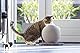 Karlie Kratzball Bolly, 30,5 x 30,5 x 28 cm, grau