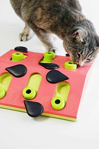 Catstages Nina Ottosson Melon Madness Puzzle & Play - Interactive Cat Treat Puzzle #TOP5