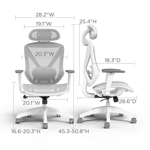 staples dexley chair