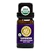 Organic Lavender Essential Oil, 100% Pure USDA Certified Organic Lavandula Angustifolia - 10ml Undiluted