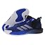 Royal Blue/Silver Metallic/Footwear White