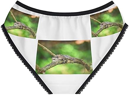 Greater Lizard Panties, Greater Lizard Underwear, Briefs, Cotton Briefs, Funny Underwear, Panties For Women