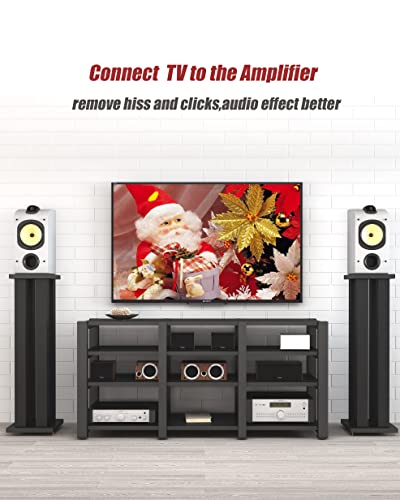 Rca Cable, 2Rca Male To 2Rca Male Stereo Audio Cables 【Hi-Fi Sound】Braided Rca Stereo Cable For Home Theater, Hdtv, Amplifiers, Hi-Fi Systems, Car Audio, Speakers (1M(3.3Ft)) #TOP5