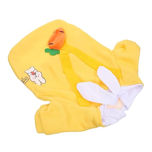 Pull pour chien chaud et confortable pour les balades en hiver