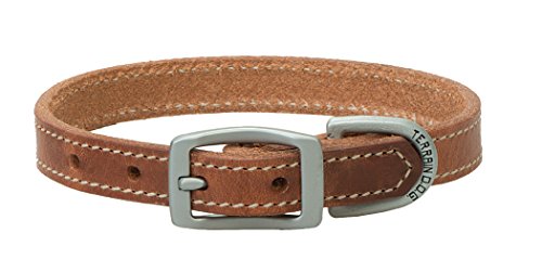 Collar para perro de cuero Terrain D.O.G