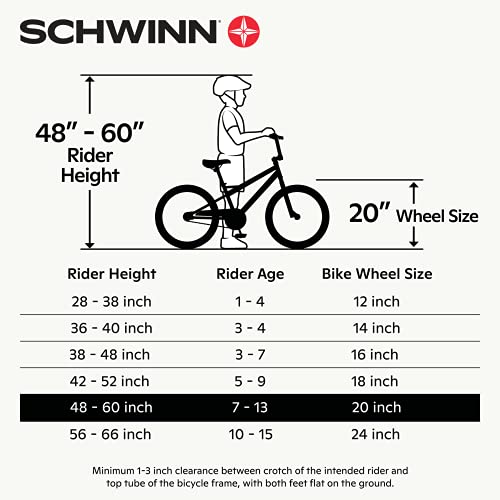 Schwinn Sting Pro Retro BMX for Youth/Adult, Throwback 1989 Design, Single-Speed Drivetrain, Hi-Ten Steel Frame, Aluminum Rims, Tubular Crankset, 20-Inch Wheels, Grey