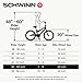 Schwinn Sting Pro Retro BMX for Youth/Adult, Throwback 1989 Design, Single-Speed Drivetrain, Hi-Ten Steel Frame, Aluminum Rims, Tubular Crankset, 20-Inch Wheels, Smoke chrome