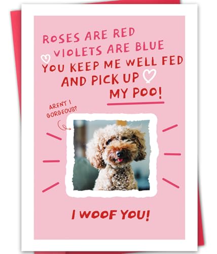 Bestmelo Dog Valentines Day Card