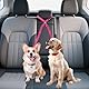 Hundegurt fürs Auto 2-in-1 Kopfstützen-Rückhalte Anschnallgurt Hund Auto Sicherheitsgeschirr Hund mit Einstellbarem Reflektierendem Gummiband für Kleine Mittelgroße Große Hunde