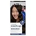 Clairol Nice N' Easy Root Touch-Up Hair Coloring Tools, 4a Dark Ash Brown