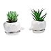 Boloniprod 1 Pcs 4 inch Elephant Plant Window Boxes White Ceramic Elephant Succulent Planter Pots/Mini Flower Plant Containers with Tray Plant Window Boxes