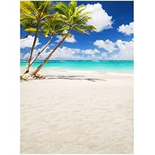 Allenjoy Tropical Seaside Beach Backdrop Summer Hawaii Island Palm Trees Photography Background for Boys Girls Portrait Holiday Travel Happy Birthday Party Dceor Banner 6x8ft Photo Booth Props