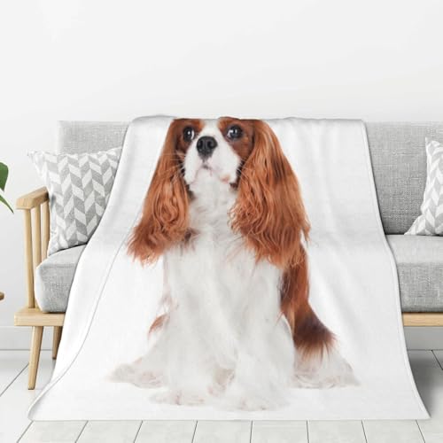 LfearTesa Coperte per divani e poltrone, copriletti, coperte da viaggio, coperte per divani e letti, Cavalier King Charles Spaniel,60x50