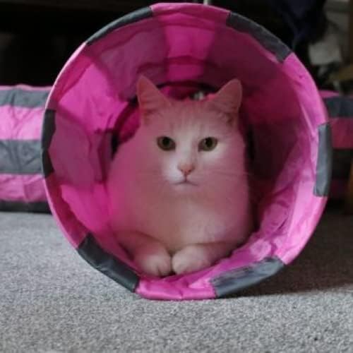Ancol Acticat Cat Play Tunnel