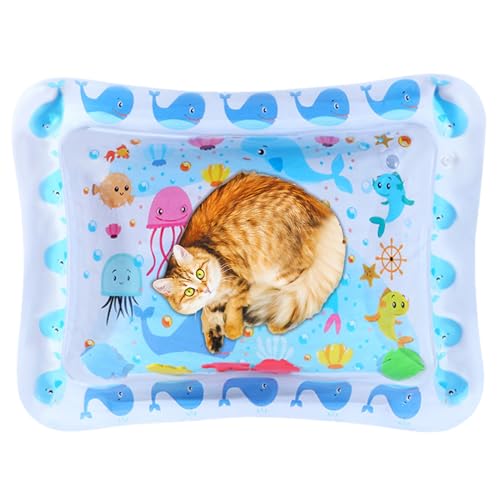Lit à eau pour chat gonflable : fini la surchauffe en été