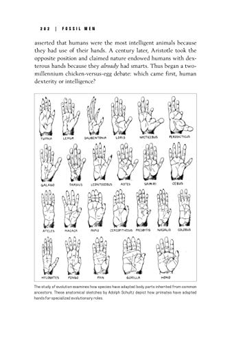 Fossil Men: The Quest for the Oldest Skeleton and the Origins of Humankind