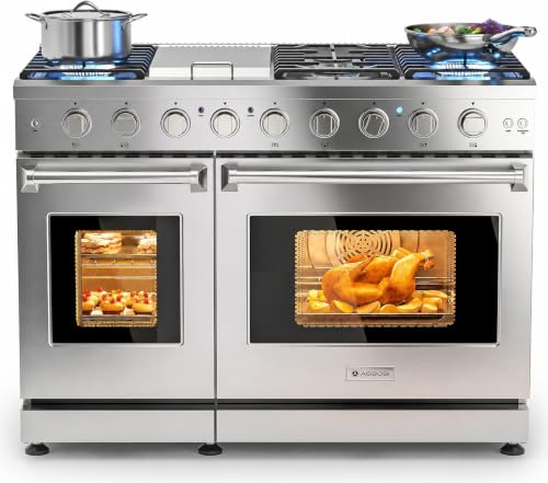AAOBOSI 48 inch Double Gas Range