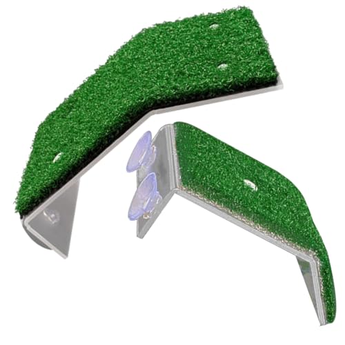 QUMIIRITY 2 ?^؋TvbgtH[ 召 pzՕt ঒ ދxe ঎RVя ঒ގP[Wp