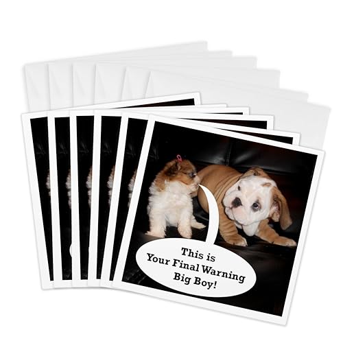 Cartes de vœux Bulldog anglais et Shih Tzu pour écrire un message personnalisé