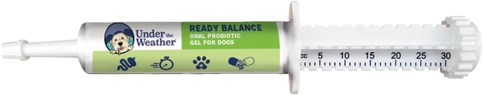 Pet | Ready Balance for Dogs | Oral Probiotic and Prebiotic Gel