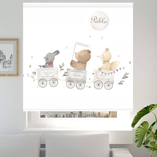 Estores infantiles Personalizado niño. Estores infantiles niño. Estores infantiles dibujos Trenes. Estores infantiles niño habitacion. Cortina y Estores infantiles translucido. (60x60)