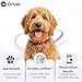 ORIVET GenoPet Plus Dog DNA Test Kit | Professional Breed Identification & Genetic Health Screening | Comprehensive Canine DNA Analysis with Personalized Life Plan