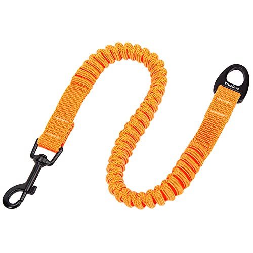 J&C Paradise [h WCg[h {KX p[h ^ ^ oW[[v y ϋv Lk e͐ Sy lC TRUELOVE (IW, L)